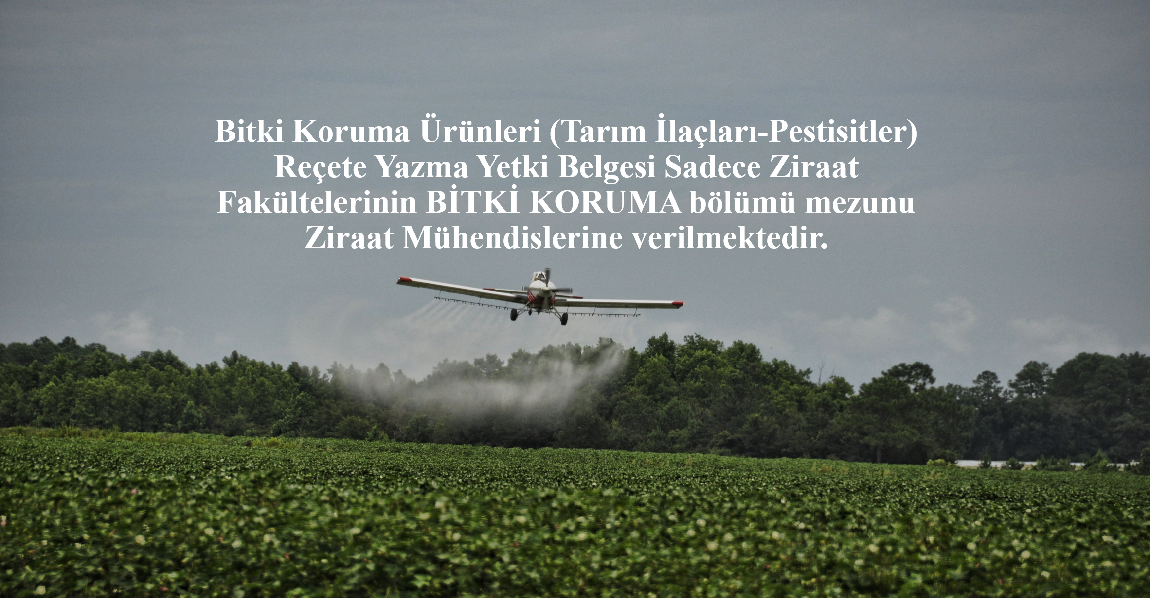  Resim2